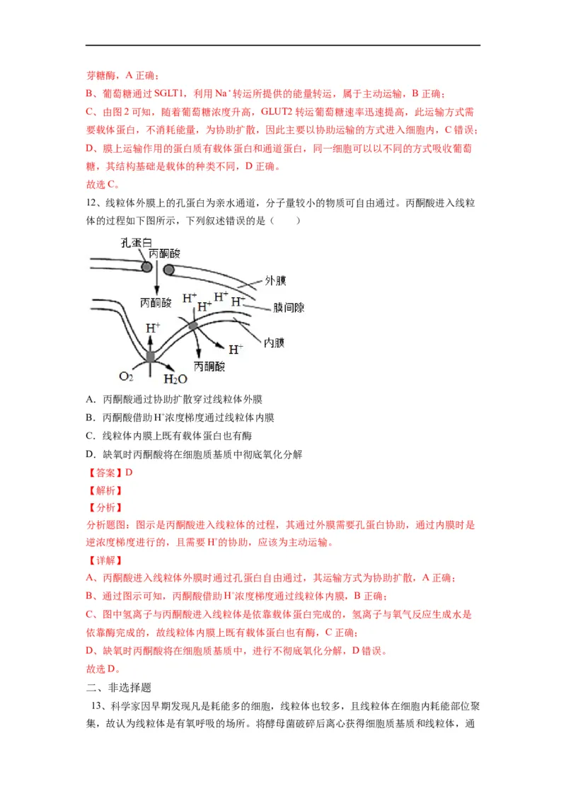 重难点05酶、ATP以及细胞呼吸（解析版）_通用版（老高考）复习资料_2023年复习资料_专项复习_2023年高考生物热点&middot;重点&middot;难点专练（全国通用）