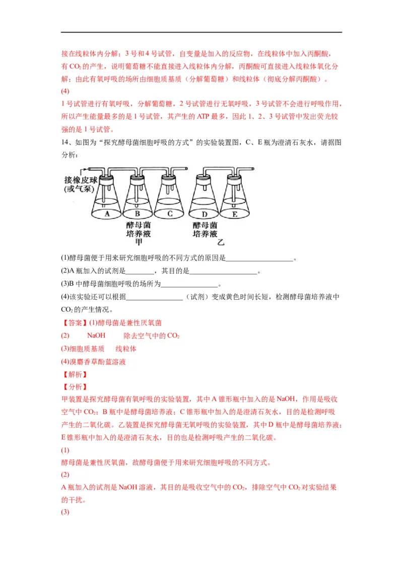 重难点05酶、ATP以及细胞呼吸（解析版）_通用版（老高考）复习资料_2023年复习资料_专项复习_2023年高考生物热点&middot;重点&middot;难点专练（全国通用）