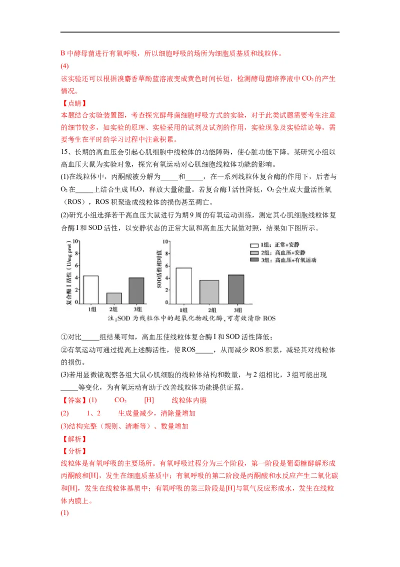重难点05酶、ATP以及细胞呼吸（解析版）_通用版（老高考）复习资料_2023年复习资料_专项复习_2023年高考生物热点&middot;重点&middot;难点专练（全国通用）