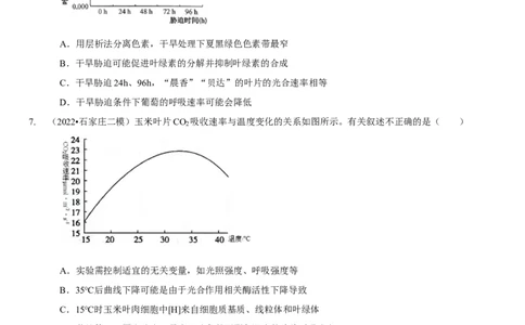 题型6从物质与能量视角探索光合作用（题型集训）（原卷版）_新高考复习资料_2023年新高考复习资料_二轮复习_技巧点拨备战2023年高考生物二轮题型复习讲解286731240