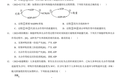 题型6从物质与能量视角探索光合作用（题型集训）（原卷版）_新高考复习资料_2023年新高考复习资料_二轮复习_技巧点拨备战2023年高考生物二轮题型复习讲解286731240