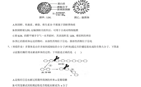 邵阳市第二中学2025-2026学年高一上学期入学测试生物试卷（含解析）_2026年03月高一试卷_260317湖南省邵阳市第二中学2025-2026学年高一下学期入学测试试卷（全科）