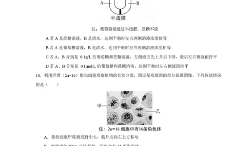邵阳市第二中学2025-2026学年高一上学期入学测试生物试卷（含解析）_2026年03月高一试卷_260317湖南省邵阳市第二中学2025-2026学年高一下学期入学测试试卷（全科）