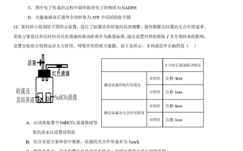 邵阳市第二中学2025-2026学年高一上学期入学测试生物试卷（含解析）_2026年03月高一试卷_260317湖南省邵阳市第二中学2025-2026学年高一下学期入学测试试卷（全科）