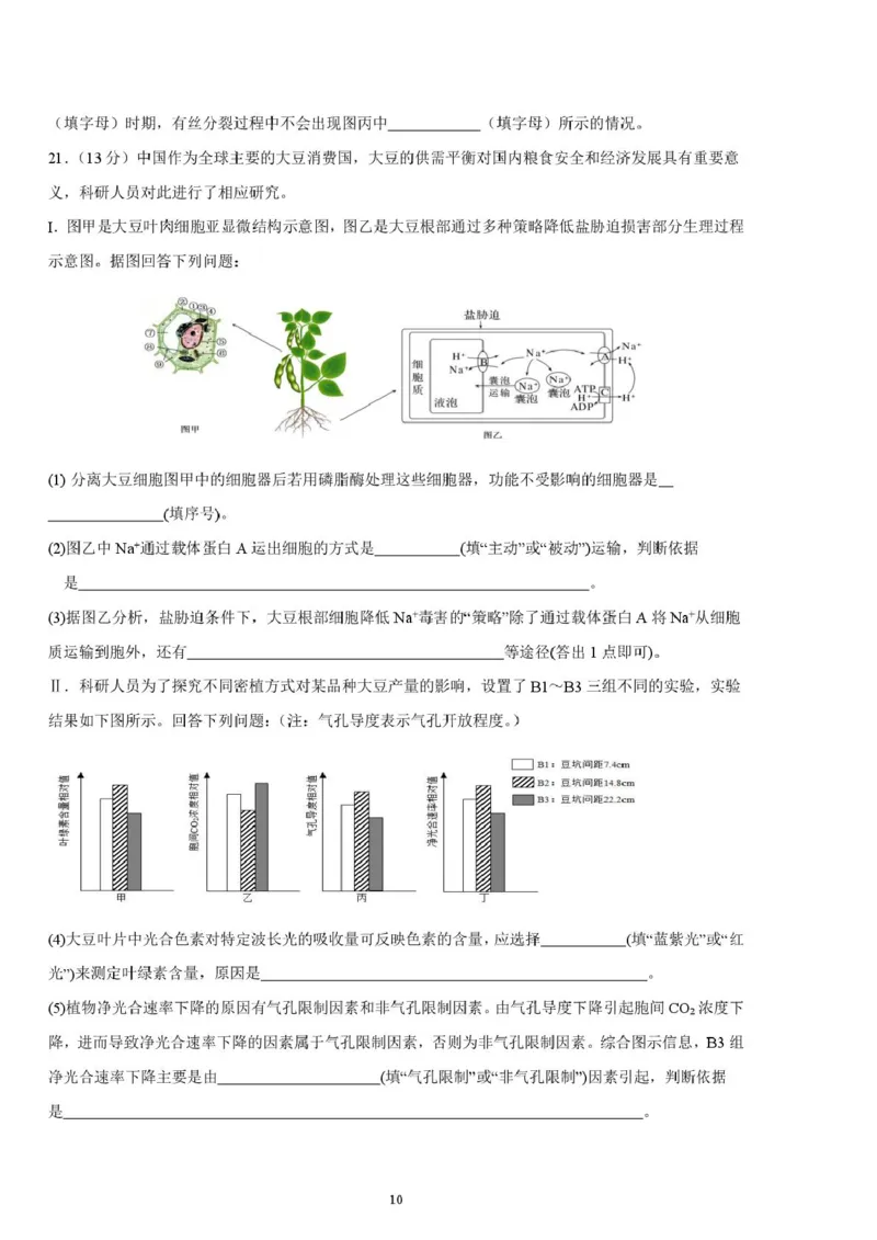 邵阳市第二中学2025-2026学年高一上学期入学测试生物试卷（含解析）_2026年03月高一试卷_260317湖南省邵阳市第二中学2025-2026学年高一下学期入学测试试卷（全科）