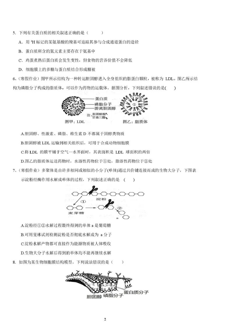 邵阳市第二中学2025-2026学年高一上学期入学测试生物试卷（含解析）_2026年03月高一试卷_260317湖南省邵阳市第二中学2025-2026学年高一下学期入学测试试卷（全科）