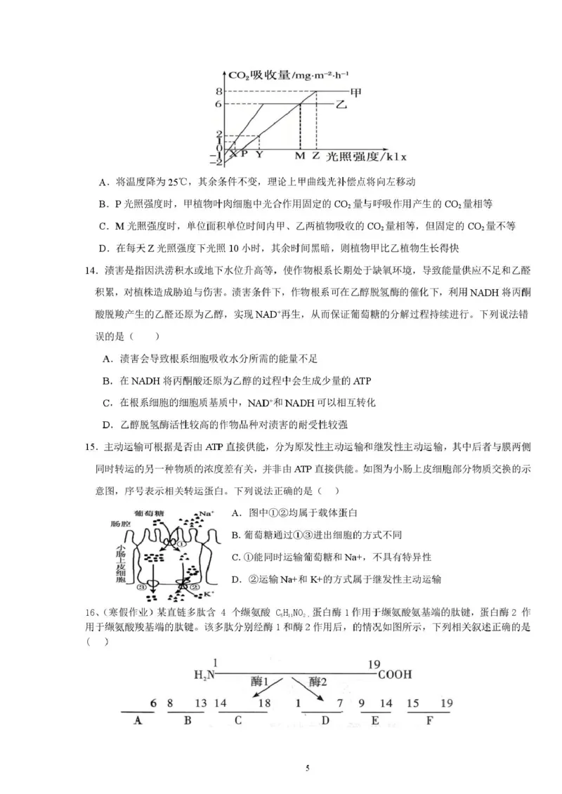 邵阳市第二中学2025-2026学年高一上学期入学测试生物试卷（含解析）_2026年03月高一试卷_260317湖南省邵阳市第二中学2025-2026学年高一下学期入学测试试卷（全科）