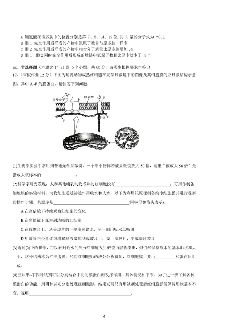 邵阳市第二中学2025-2026学年高一上学期入学测试生物试卷（含解析）_2026年03月高一试卷_260317湖南省邵阳市第二中学2025-2026学年高一下学期入学测试试卷（全科）