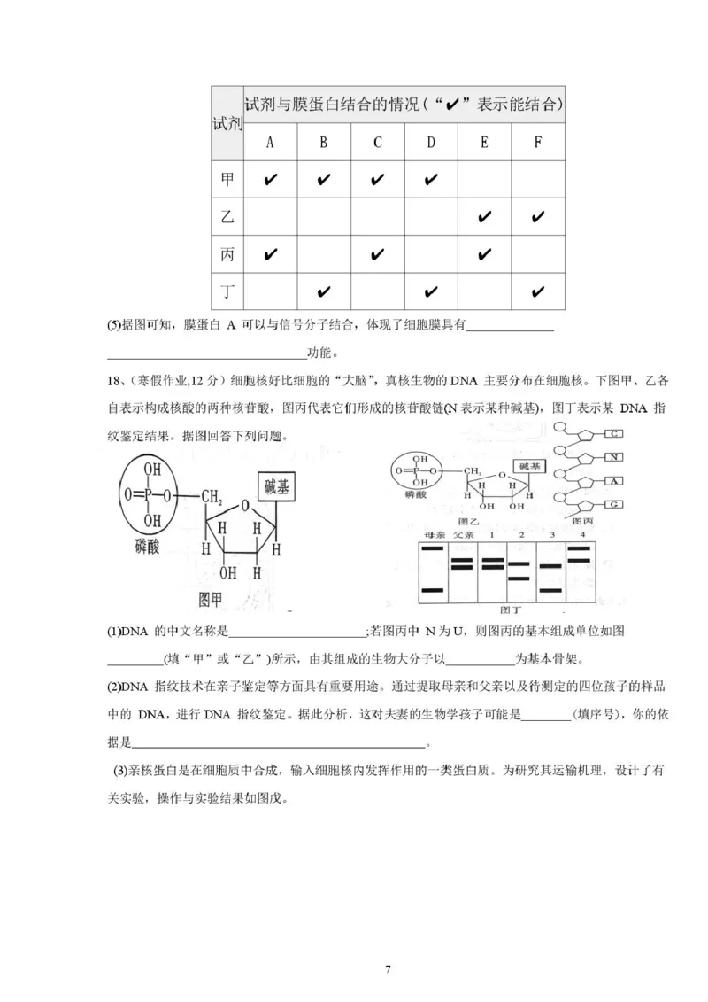 邵阳市第二中学2025-2026学年高一上学期入学测试生物试卷（含解析）_2026年03月高一试卷_260317湖南省邵阳市第二中学2025-2026学年高一下学期入学测试试卷（全科）