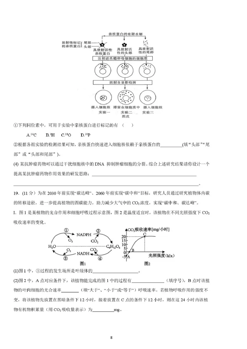 邵阳市第二中学2025-2026学年高一上学期入学测试生物试卷（含解析）_2026年03月高一试卷_260317湖南省邵阳市第二中学2025-2026学年高一下学期入学测试试卷（全科）