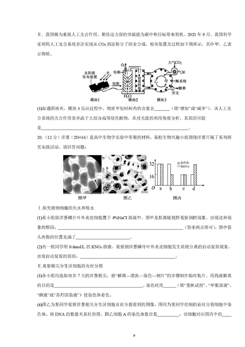 邵阳市第二中学2025-2026学年高一上学期入学测试生物试卷（含解析）_2026年03月高一试卷_260317湖南省邵阳市第二中学2025-2026学年高一下学期入学测试试卷（全科）