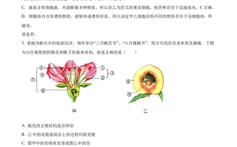 精品解析：2024四川省南充市中考生物真题（解析版）_new_6生物中考复习_2025中考复习资料_中考真题（近三年）_2024年生物中考真题