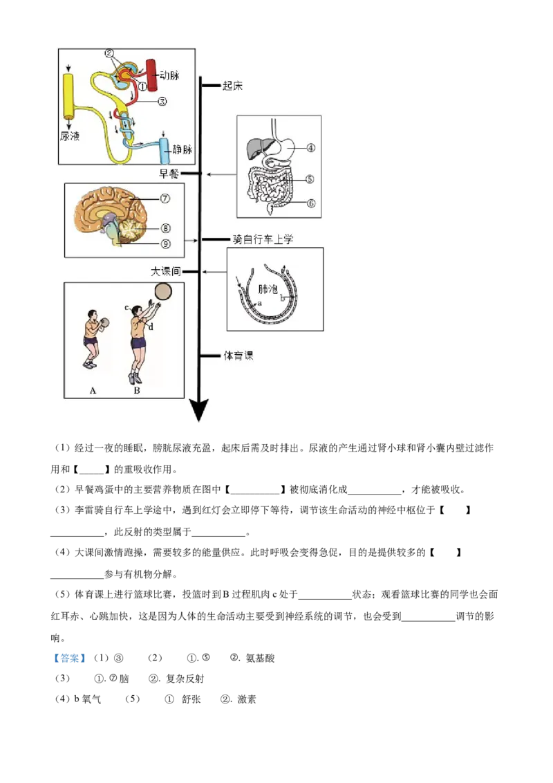 精品解析：2024四川省南充市中考生物真题（解析版）_new_6生物中考复习_2025中考复习资料_中考真题（近三年）_2024年生物中考真题