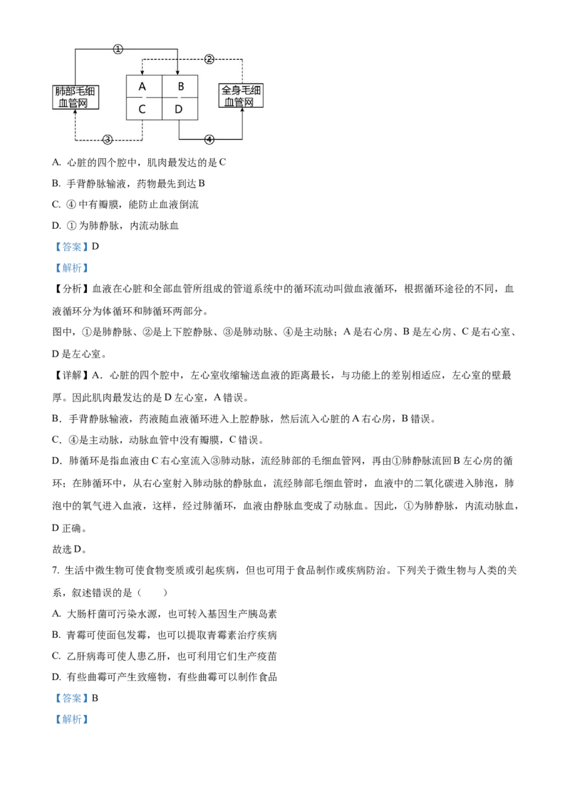精品解析：2024四川省南充市中考生物真题（解析版）_new_6生物中考复习_2025中考复习资料_中考真题（近三年）_2024年生物中考真题