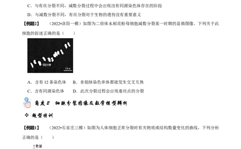 题型10构建模型，解减数分裂疑难问题（题型归纳）（原卷版）_新高考复习资料_2023年新高考复习资料_二轮复习_技巧点拨备战2023年高考生物二轮题型复习讲解286731240