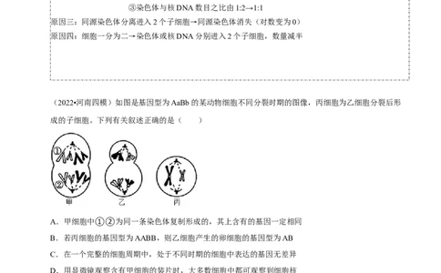题型10构建模型，解减数分裂疑难问题（题型归纳）（原卷版）_新高考复习资料_2023年新高考复习资料_二轮复习_技巧点拨备战2023年高考生物二轮题型复习讲解286731240