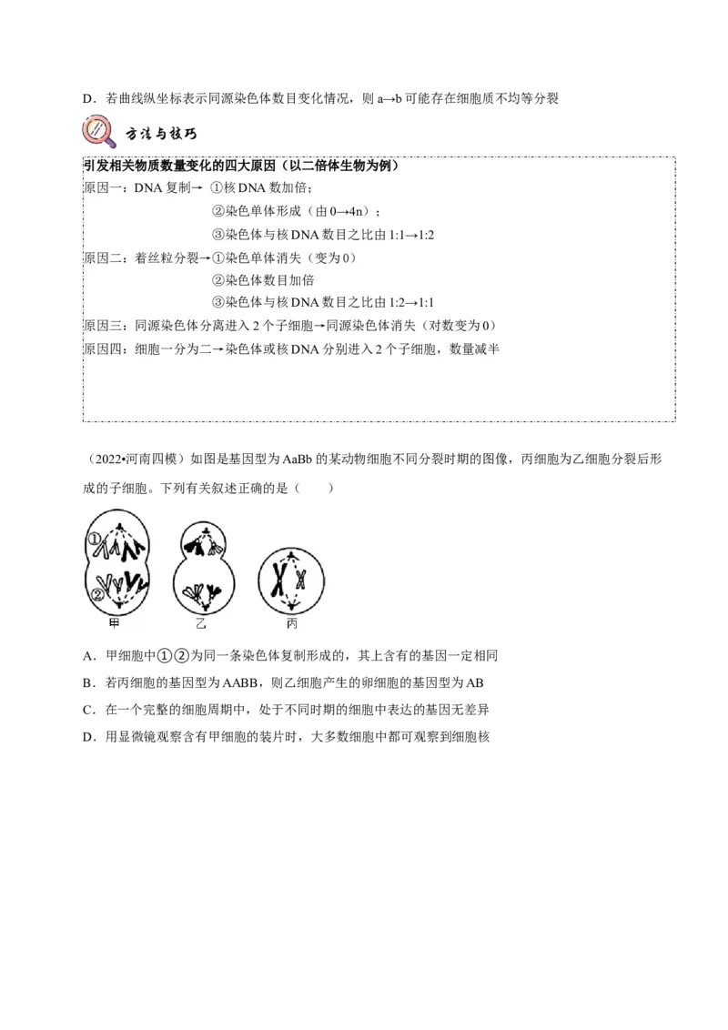题型10构建模型，解减数分裂疑难问题（题型归纳）（原卷版）_新高考复习资料_2023年新高考复习资料_二轮复习_技巧点拨备战2023年高考生物二轮题型复习讲解286731240