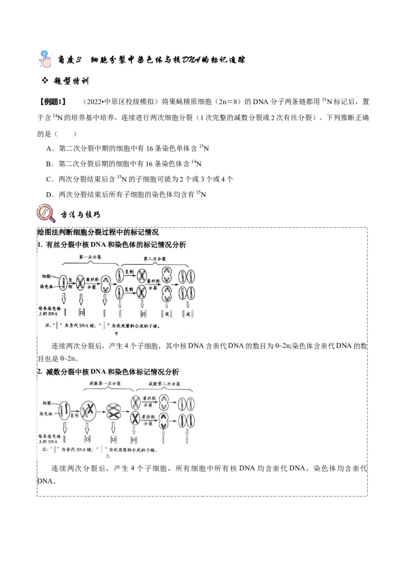 题型10构建模型，解减数分裂疑难问题（题型归纳）（原卷版）_新高考复习资料_2023年新高考复习资料_二轮复习_技巧点拨备战2023年高考生物二轮题型复习讲解286731240