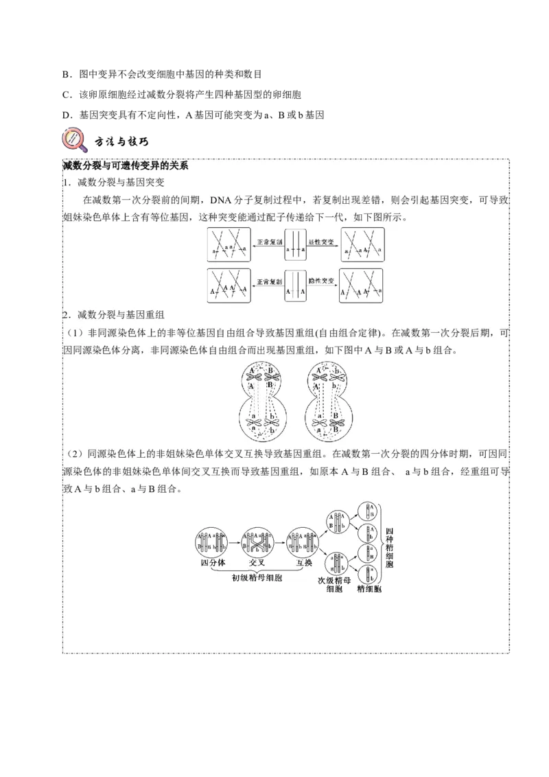 题型10构建模型，解减数分裂疑难问题（题型归纳）（原卷版）_新高考复习资料_2023年新高考复习资料_二轮复习_技巧点拨备战2023年高考生物二轮题型复习讲解286731240