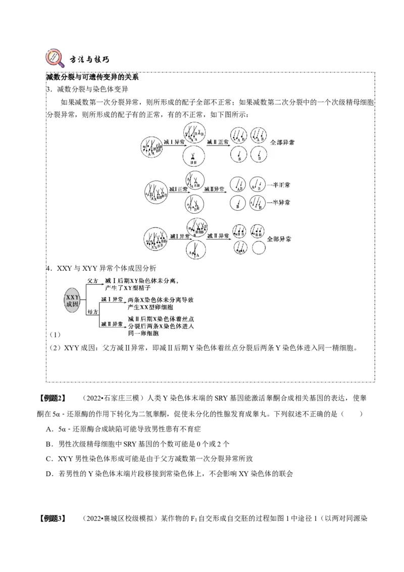 题型10构建模型，解减数分裂疑难问题（题型归纳）（原卷版）_新高考复习资料_2023年新高考复习资料_二轮复习_技巧点拨备战2023年高考生物二轮题型复习讲解286731240