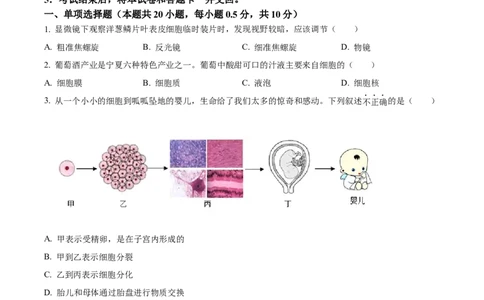 精品解析：2024年宁夏中考生物真题（原卷版）_new_6生物中考复习_2025中考复习资料_中考真题（近三年）_2024年生物中考真题