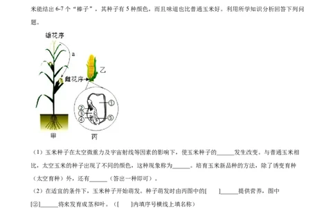 精品解析：2024年宁夏中考生物真题（原卷版）_new_6生物中考复习_2025中考复习资料_中考真题（近三年）_2024年生物中考真题