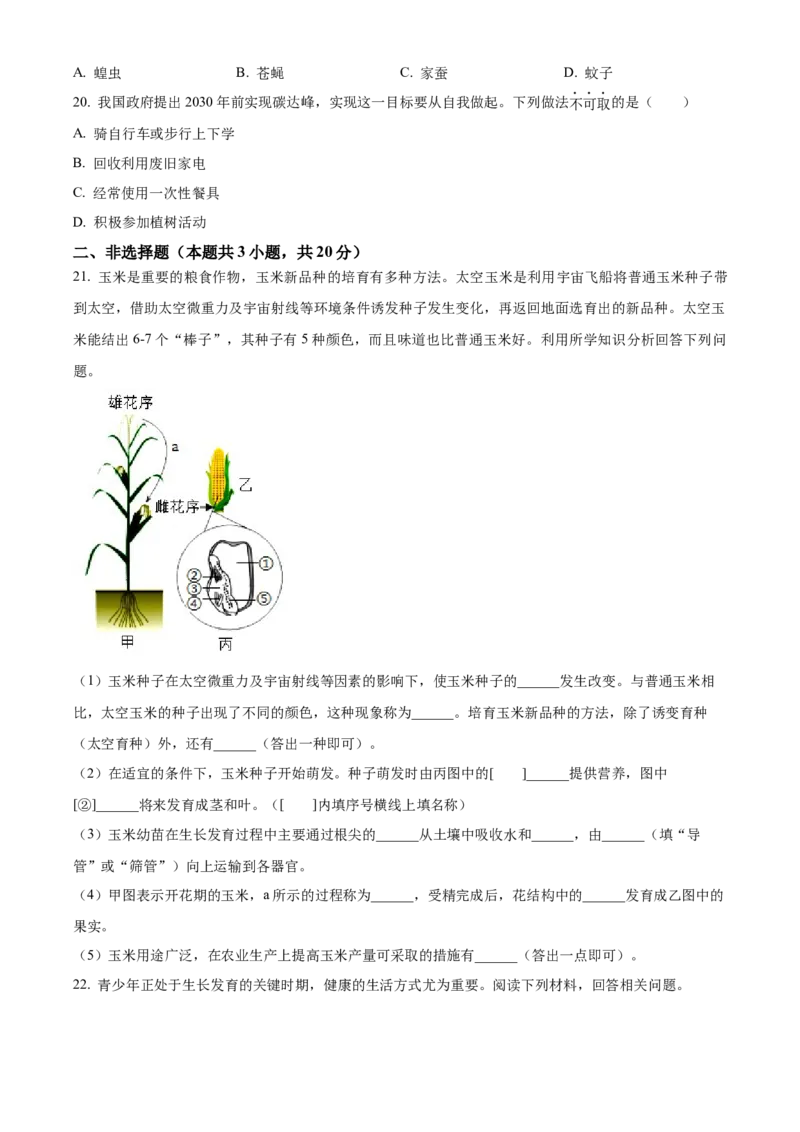 精品解析：2024年宁夏中考生物真题（原卷版）_new_6生物中考复习_2025中考复习资料_中考真题（近三年）_2024年生物中考真题