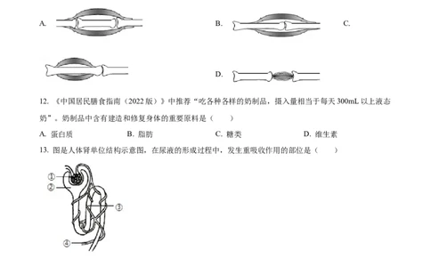 精品解析：2022年湖南省怀化市中考生物真题（原卷版）_6生物中考复习_2025中考复习资料_中考真题（近三年）_2022年生物中考真题114份_精品解析：2022年湖南省怀化市中考生物真题