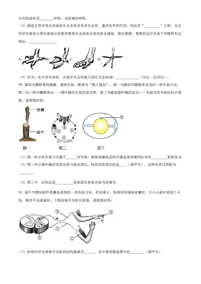 精品解析：2022年湖南省怀化市中考生物真题（原卷版）_6生物中考复习_2025中考复习资料_中考真题（近三年）_2022年生物中考真题114份_精品解析：2022年湖南省怀化市中考生物真题