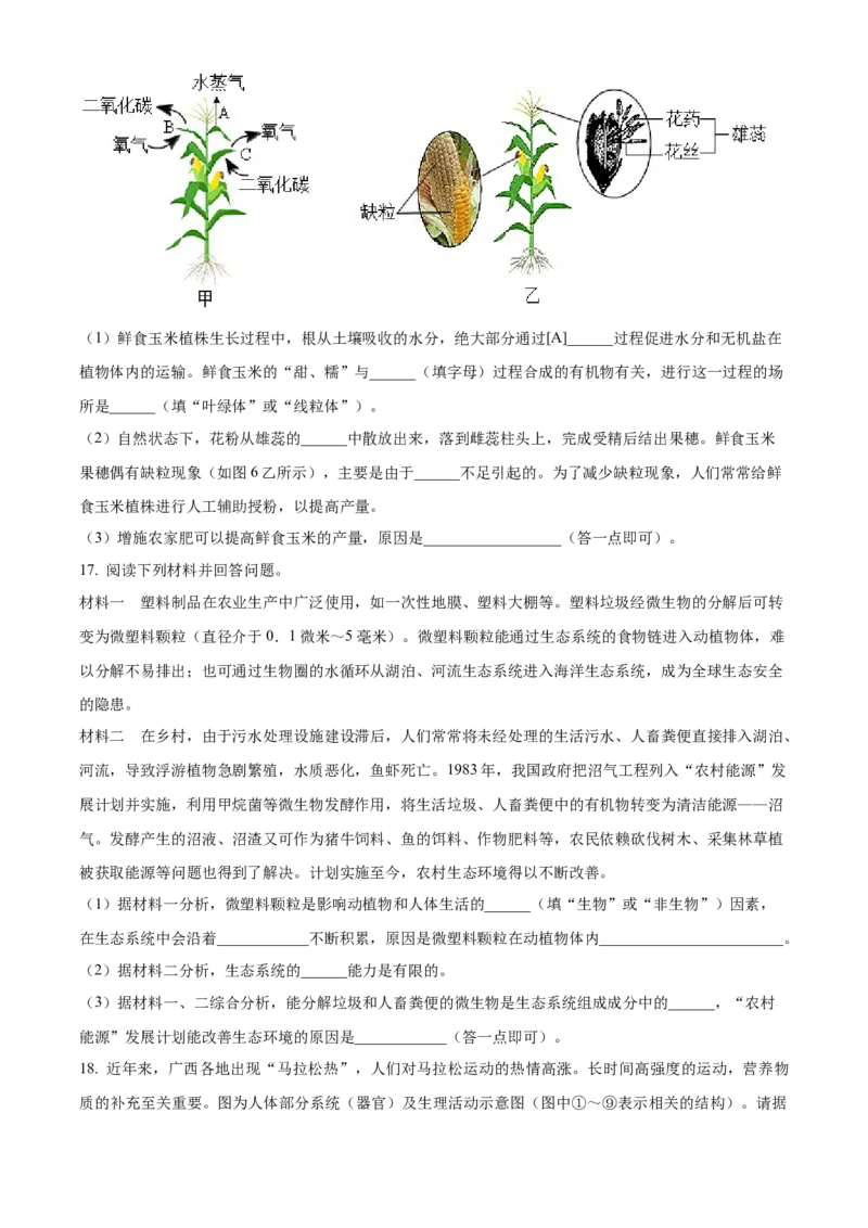 精品解析：2023年广西生物中考真题（原卷版）_new_6生物中考复习_2025中考复习资料_中考真题（近三年）_2023年生物中考真题