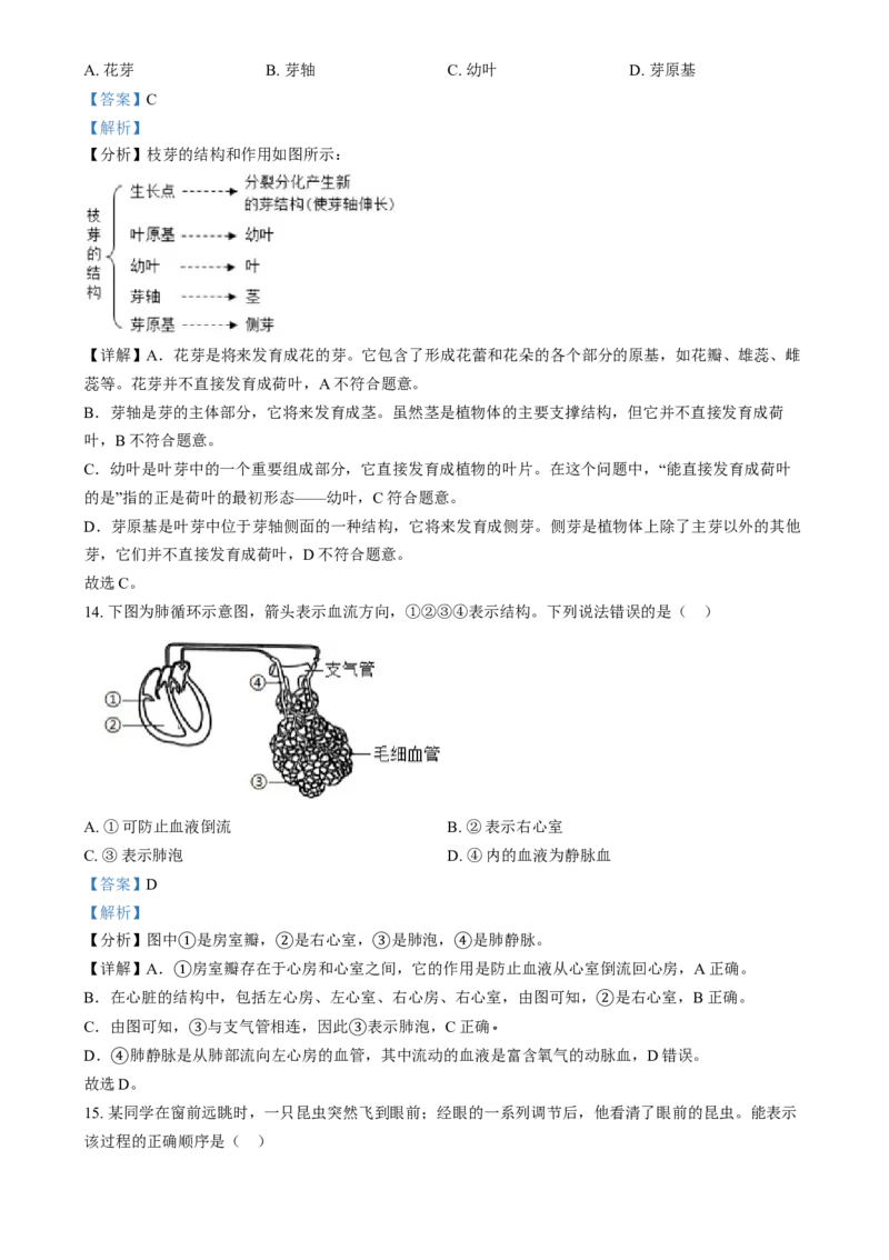 精品解析：2024年河北省八年级中考生物真题（解析版）_new_6生物中考复习_2025中考复习资料_中考真题（近三年）_2024年生物中考真题