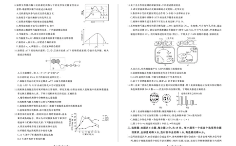高一12月联考(生物)_2024年12月试卷_1219山东省百师联考2024-2025学年高一上学期12月月考试题_山东省百师联考2024-2025学年高一上学期12月月考生物试题PDF版含答案