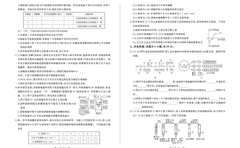 高一12月联考(生物)_2024年12月试卷_1219山东省百师联考2024-2025学年高一上学期12月月考试题_山东省百师联考2024-2025学年高一上学期12月月考生物试题PDF版含答案