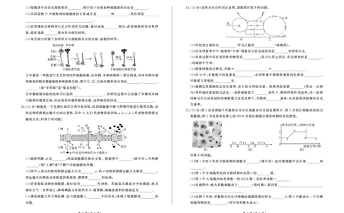 高一12月联考(生物)_2024年12月试卷_1219山东省百师联考2024-2025学年高一上学期12月月考试题_山东省百师联考2024-2025学年高一上学期12月月考生物试题PDF版含答案