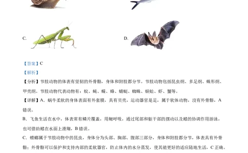 精品解析：2024年山东省烟台市中考生物试题（解析版）_new_6生物中考复习_2025中考复习资料_中考真题（近三年）_2024年生物中考真题