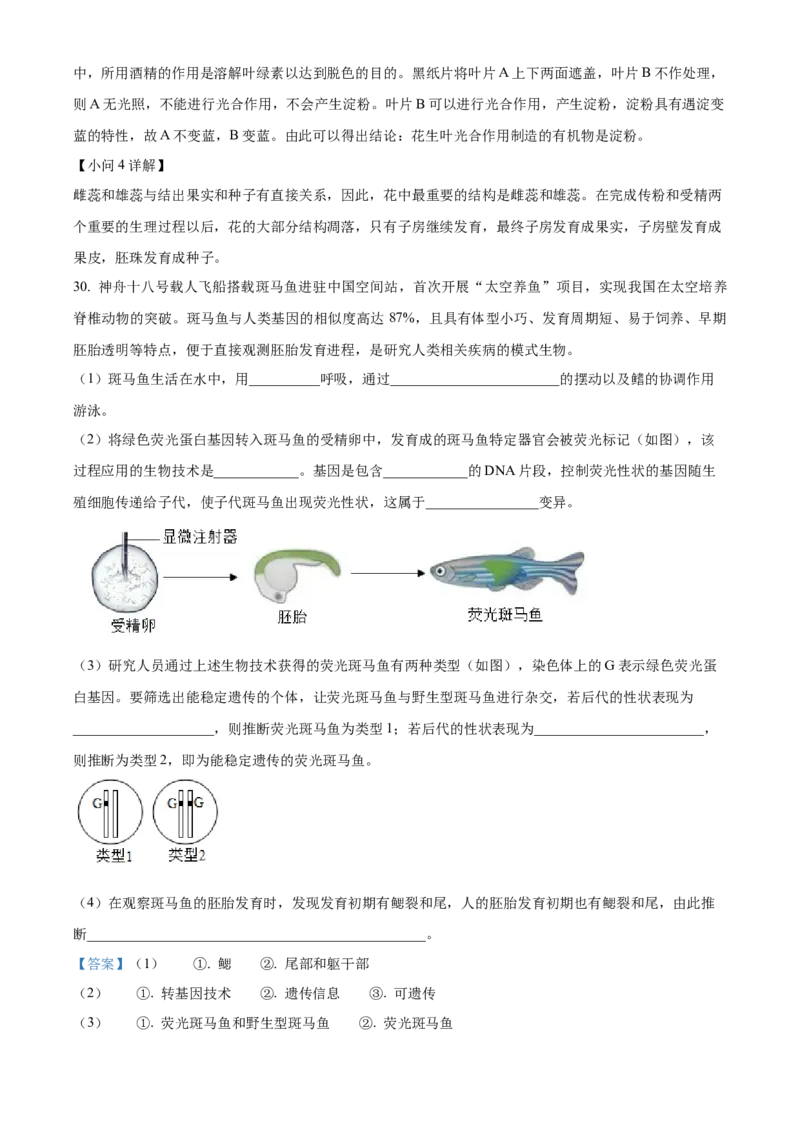 精品解析：2024年山东省烟台市中考生物试题（解析版）_new_6生物中考复习_2025中考复习资料_中考真题（近三年）_2024年生物中考真题