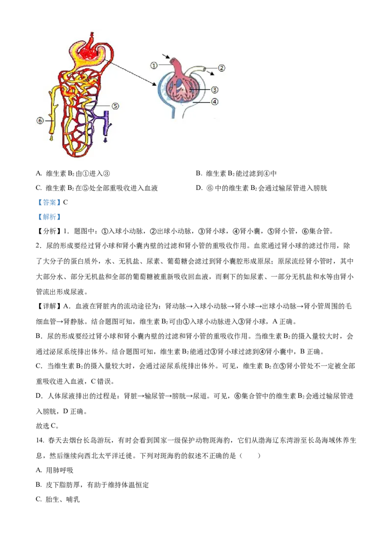 精品解析：2024年山东省烟台市中考生物试题（解析版）_new_6生物中考复习_2025中考复习资料_中考真题（近三年）_2024年生物中考真题