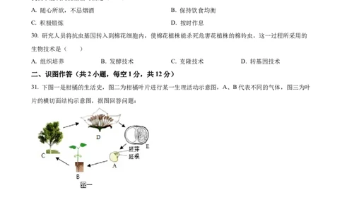 精品解析：2022年湖南省湘西州中考生物真题（原卷版）_6生物中考复习_2025中考复习资料_中考真题（近三年）_2022年生物中考真题114份_精品解析：2022年湖南省湘西州中考生物真题