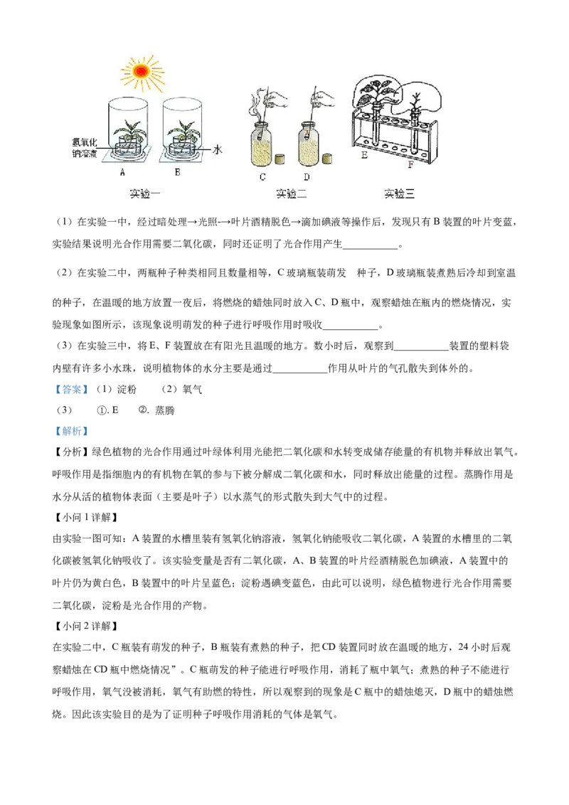 精品解析：2022年广西贵港市中考生物真题（解析版）_6生物中考复习_2025中考复习资料_中考真题（近三年）_2022年生物中考真题114份_精品解析：2022年广西贵港市中考生物真题