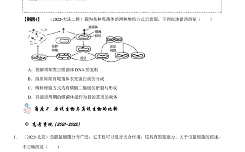 题型2细胞的结构与功能观（题型归纳）（原卷版）_新高考复习资料_2023年新高考复习资料_二轮复习_技巧点拨备战2023年高考生物二轮题型复习讲解286731240