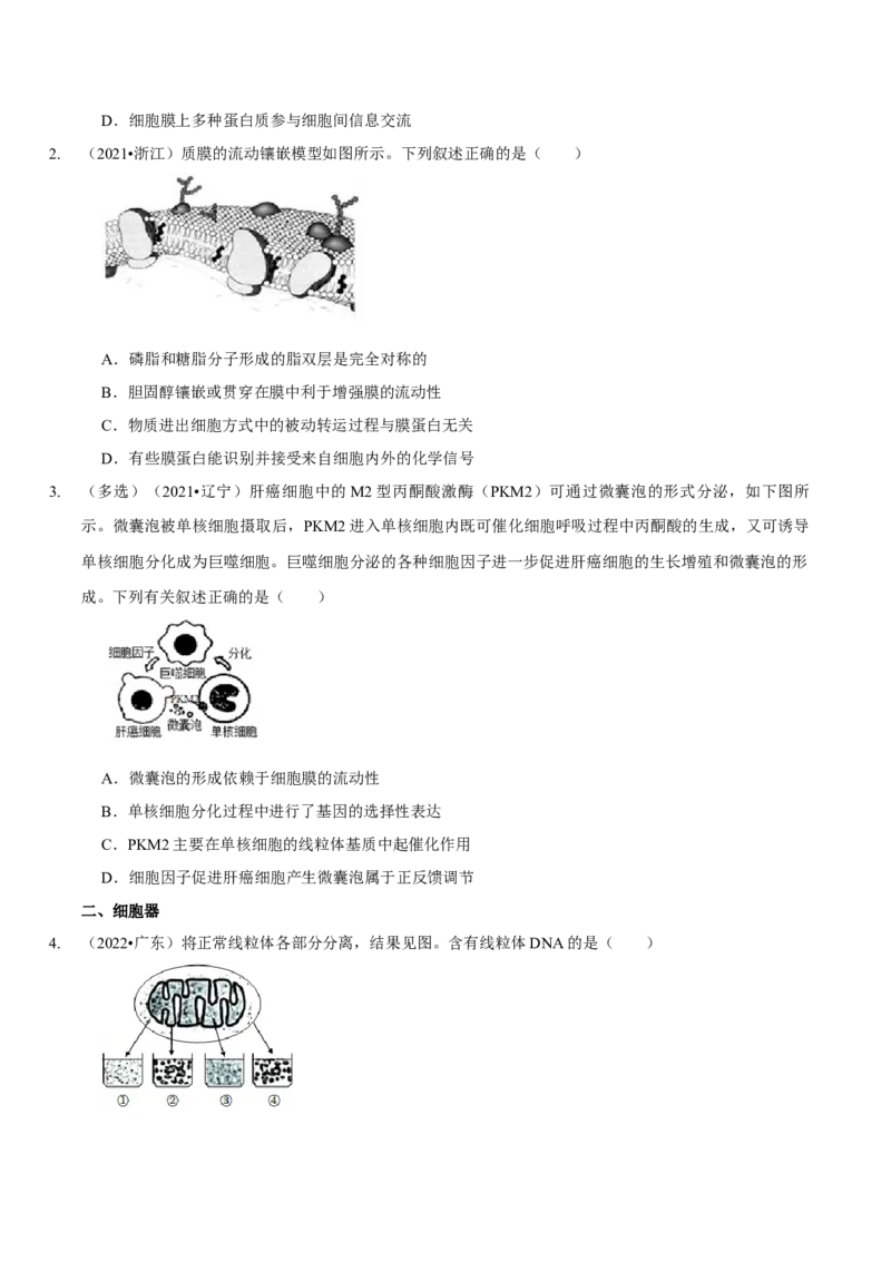 题型2细胞的结构与功能观（题型归纳）（原卷版）_新高考复习资料_2023年新高考复习资料_二轮复习_技巧点拨备战2023年高考生物二轮题型复习讲解286731240