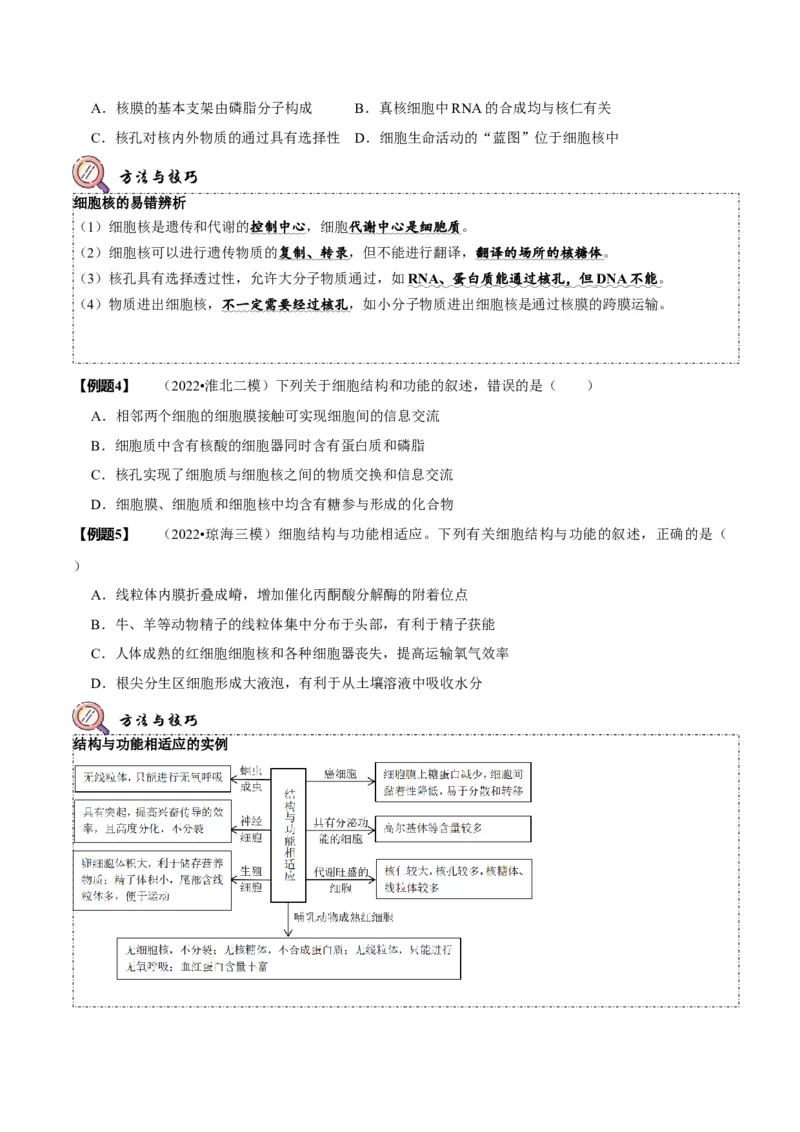 题型2细胞的结构与功能观（题型归纳）（原卷版）_新高考复习资料_2023年新高考复习资料_二轮复习_技巧点拨备战2023年高考生物二轮题型复习讲解286731240