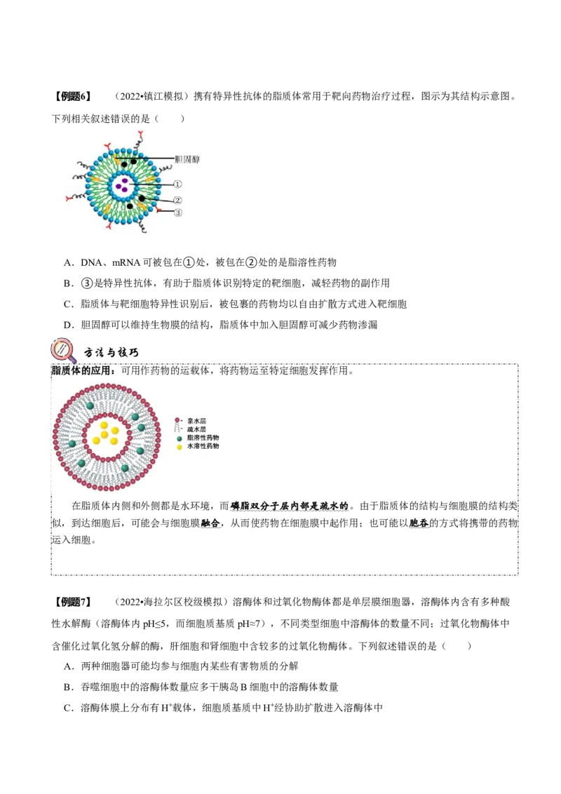 题型2细胞的结构与功能观（题型归纳）（原卷版）_新高考复习资料_2023年新高考复习资料_二轮复习_技巧点拨备战2023年高考生物二轮题型复习讲解286731240