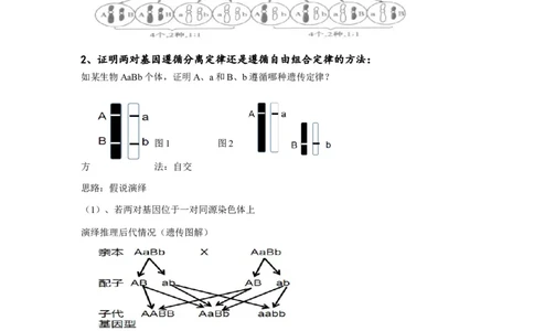 重难点08遗传因子的分离、自由定律（原卷版）_通用版（老高考）复习资料_2023年复习资料_专项复习_2023年高考生物热点&middot;重点&middot;难点专练（全国通用）