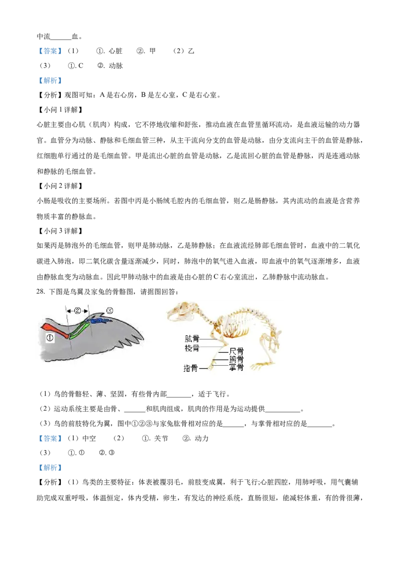 精品解析：2023年湖南省岳阳市中考生物真题（解析版）_new_6生物中考复习_2025中考复习资料_中考真题（近三年）_2023年生物中考真题