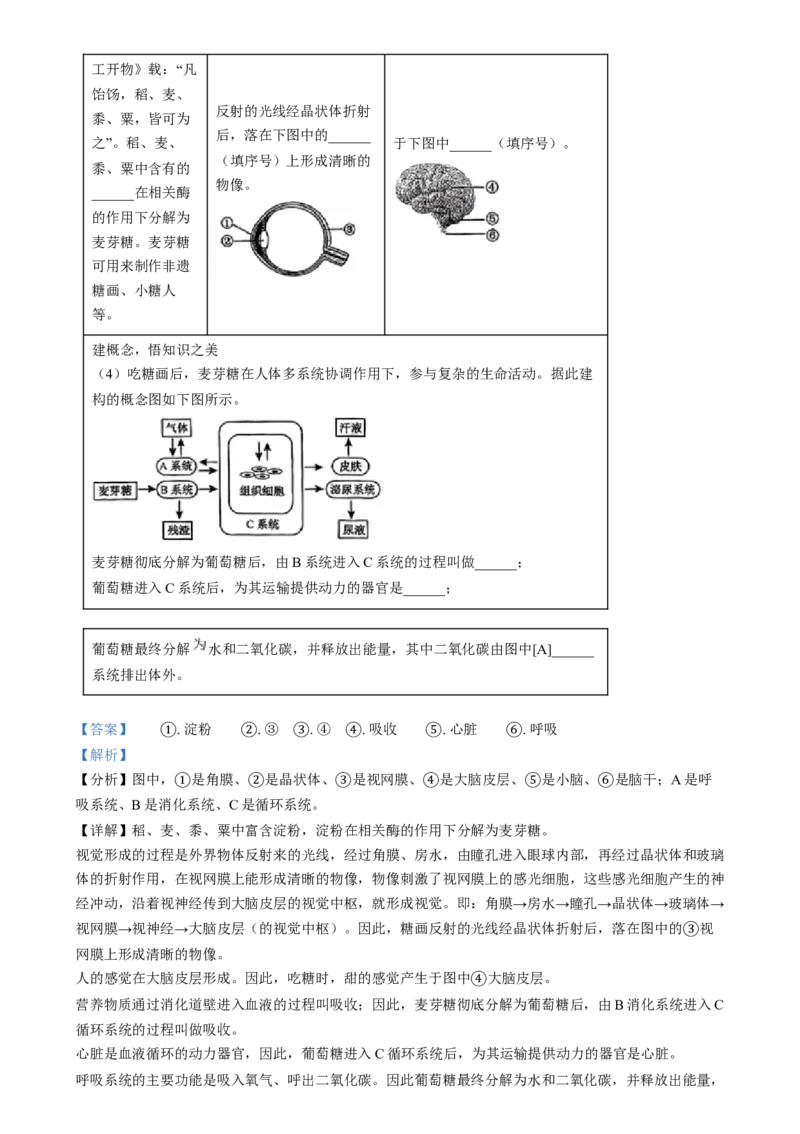 精品解析：2024年江西省中考生物真题（解析版）_new_6生物中考复习_2025中考复习资料_中考真题（近三年）_2024年生物中考真题