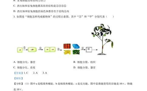 精品解析：2024年山东省临沂市中考生物真题（解析版）_new_6生物中考复习_2025中考复习资料_中考真题（近三年）_2024年生物中考真题