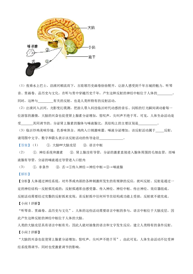 精品解析：2024年山东省临沂市中考生物真题（解析版）_new_6生物中考复习_2025中考复习资料_中考真题（近三年）_2024年生物中考真题