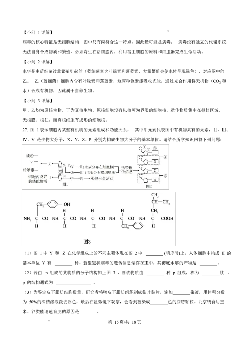 黑龙江省佳木斯市第二中学2025-2026学年高一上学期11月期中生物试题Word版含解析_2025年11月高一试卷_251124黑龙江省佳木斯市第二中学2025-2026学年高一上学期期中（全）