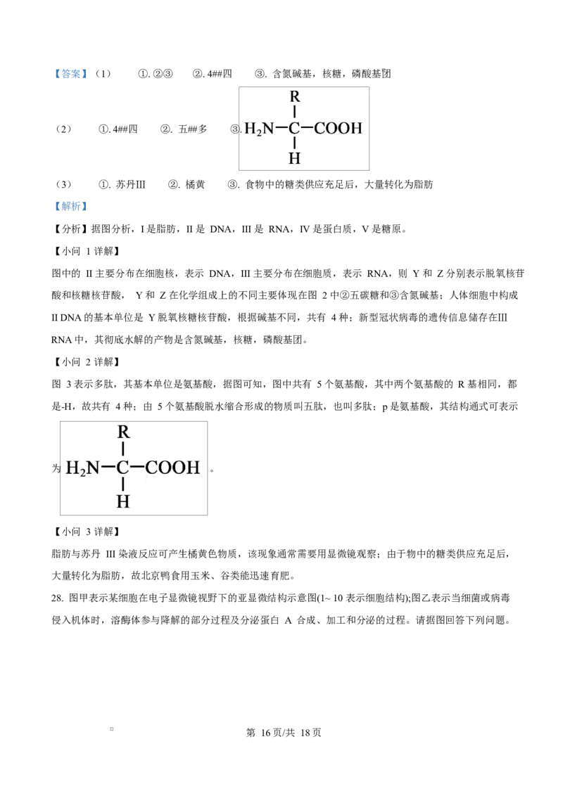 黑龙江省佳木斯市第二中学2025-2026学年高一上学期11月期中生物试题Word版含解析_2025年11月高一试卷_251124黑龙江省佳木斯市第二中学2025-2026学年高一上学期期中（全）